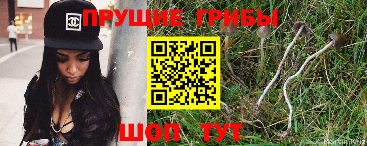 Галлюциногенные грибы мицелий Серпухов