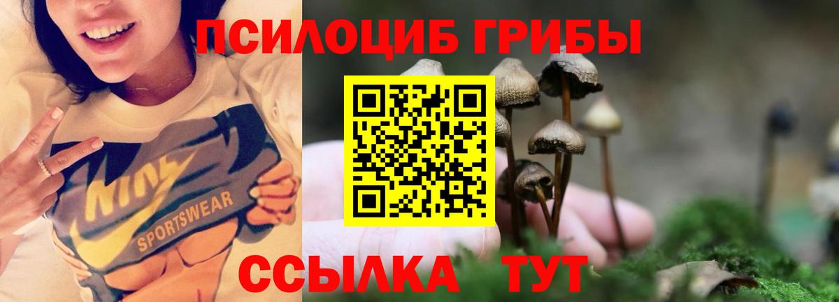 Серпухов  наркошоп  Псилоцибиновые грибы Psilocybe  Вход с VPN  Галлюциногенные грибы прущие грибы 
